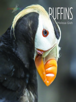 cover image of Puffins